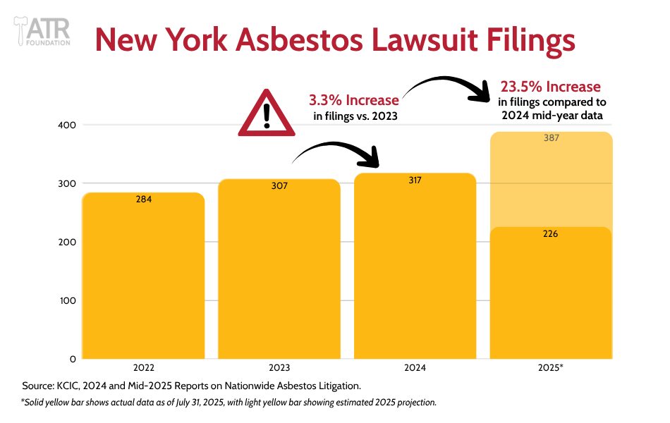 #2 New York City - Judicial Hellholes