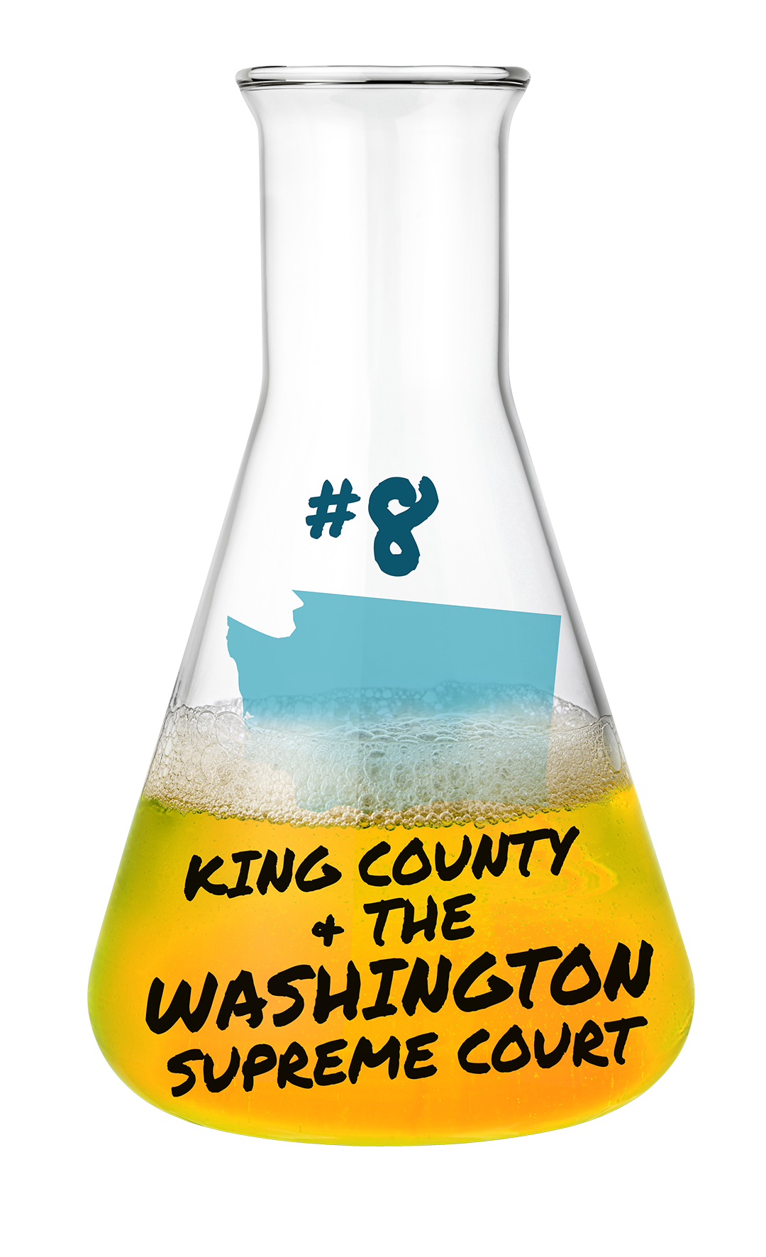 8 King County & Washington Supreme Court - Judicial Hellholes